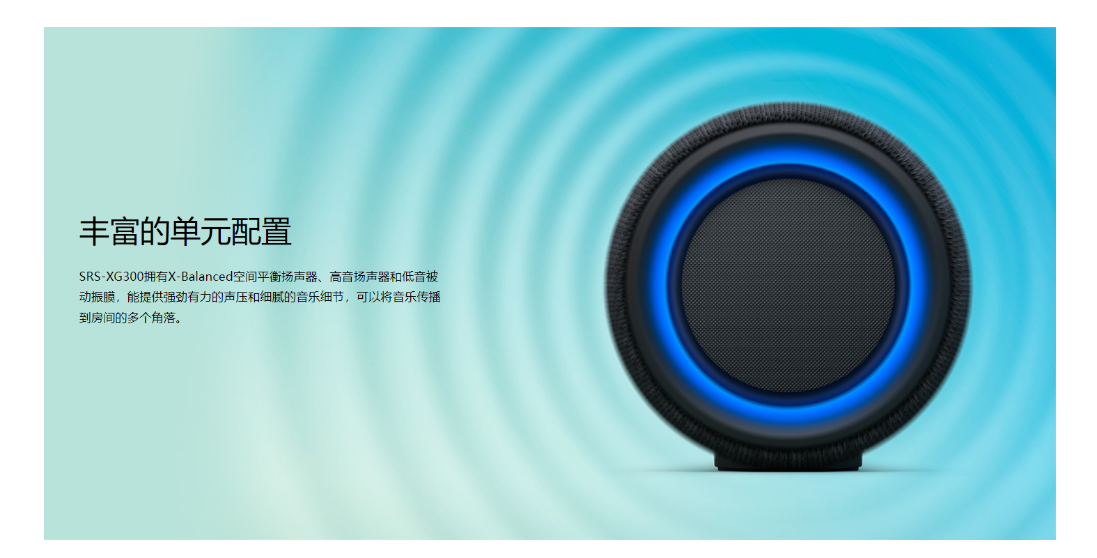 SRS-XG300详情图 (4)